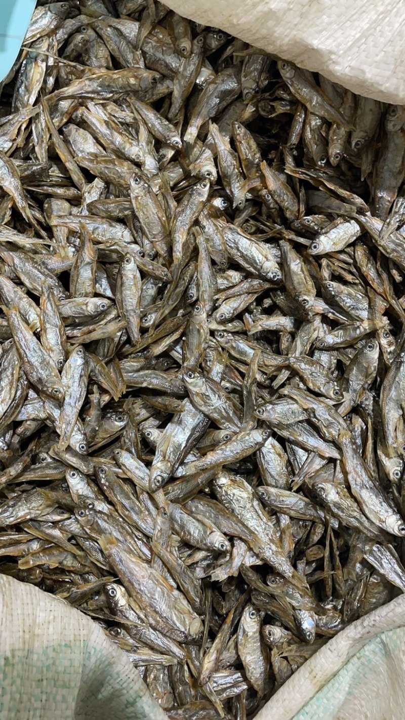 无盐鱼干宠物鱼干乌龟口粮猫粮饲料鱼