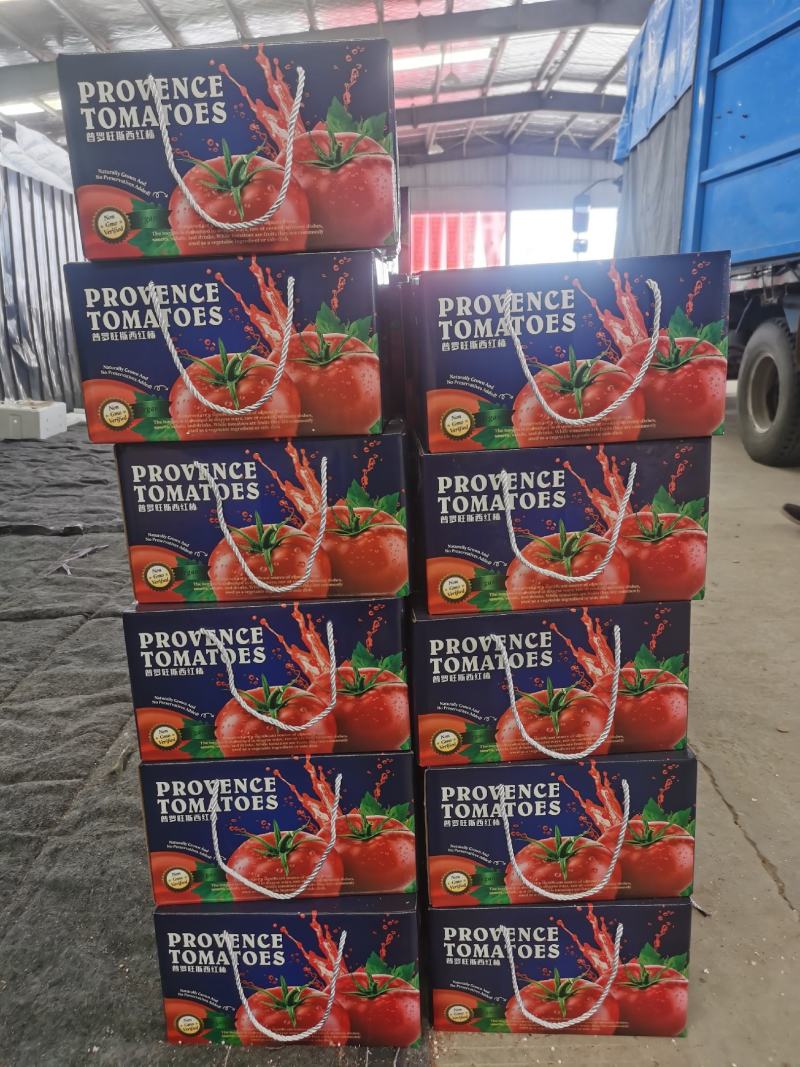 普罗旺斯西红水果西红柿沙瓤番茄现摘现发包新鲜对接社区团购