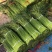 菏泽东明县精品红毛蒜苔正在大量上市中欢迎新老顾客前来选购