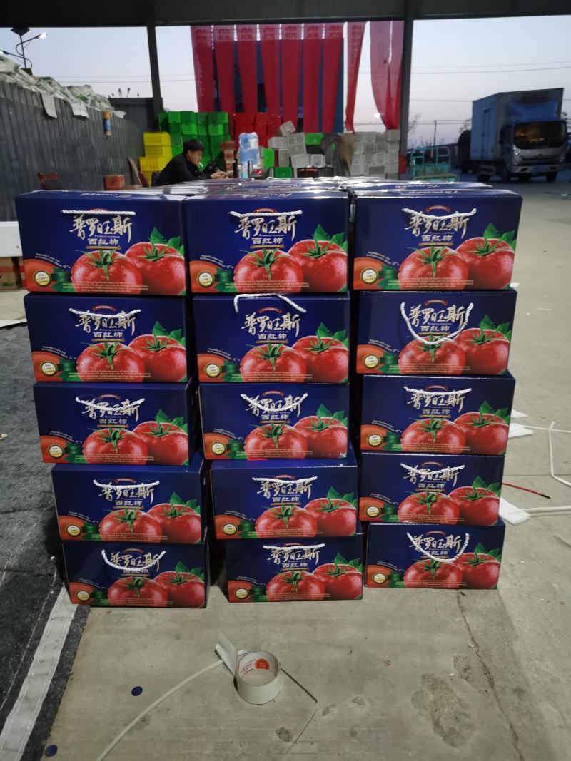普罗旺斯番茄精品礼盒装对接电商社区团购一件代发