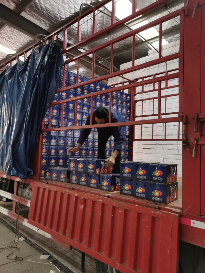 普罗旺斯番茄精品礼盒装对接电商社区团购一件代发