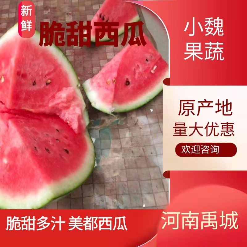 无籽麒麟美都、有籽麒麟美都保质保量大量供应中huoxu