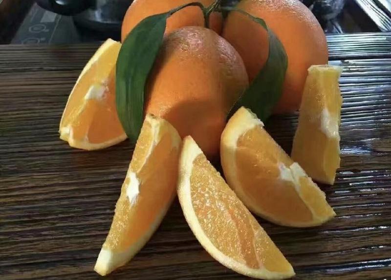 伦晚脐橙湖北橙子柑橘口感纯甜产地直发保质保量
