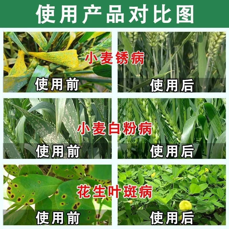 氟环唑锈病专用药小麦花生果树蔬菜大蒜豆角白粉叶斑病农药杀