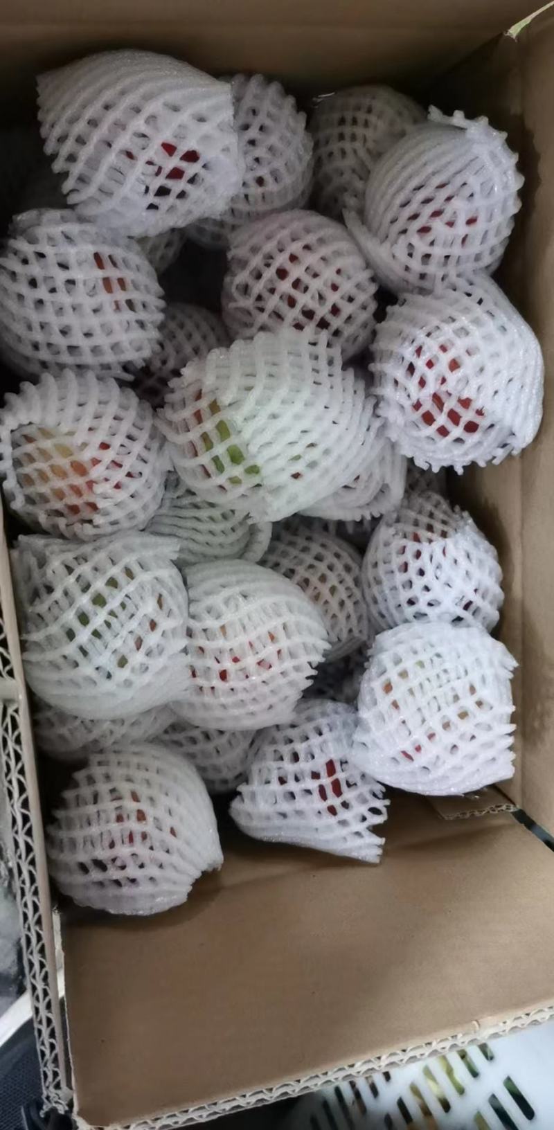 攀枝花露天油桃承接线上线下市场批发，商超配送一件代发等等