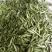 紫花油豆15厘米以上20厘米以上，精品紫花油豆