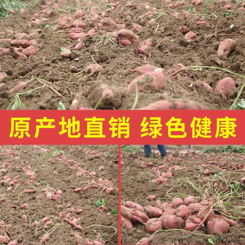 正宗农家红薯淀粉红薯粉粉面子地瓜粉番薯粉食用山芋红苕粉勾