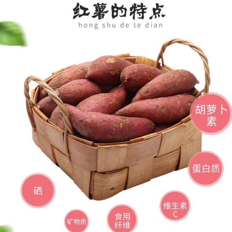 正宗农家红薯淀粉红薯粉粉面子地瓜粉番薯粉食用山芋红苕粉勾