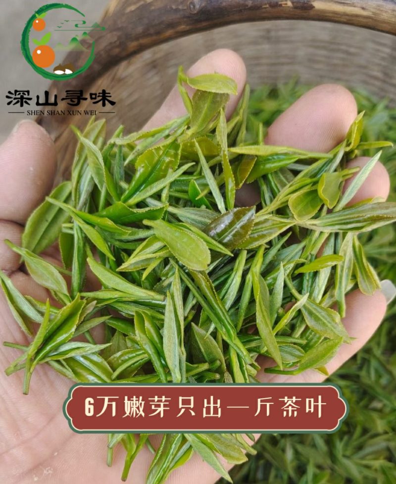信阳毛尖雨前春茶自产自销浓香耐泡产地直销假一赔十