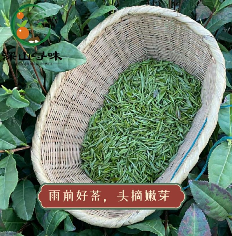 信阳毛尖雨前春茶自产自销浓香耐泡产地直销假一赔十