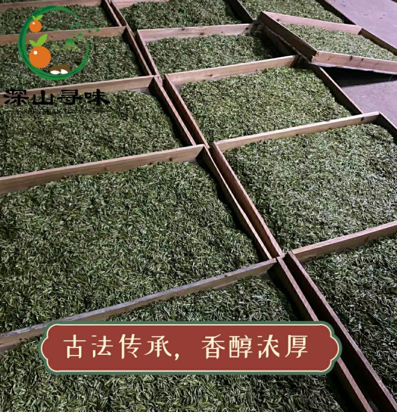 信阳毛尖雨前春茶自产自销浓香耐泡产地直销假一赔十