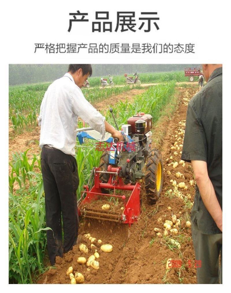 手扶土豆收获机小型拖拉机带挖马铃薯洋芋地瓜胡萝卜