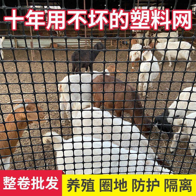 塑料网2.6毫加厚围栏防护网果园农场圈地土工格栅养殖网