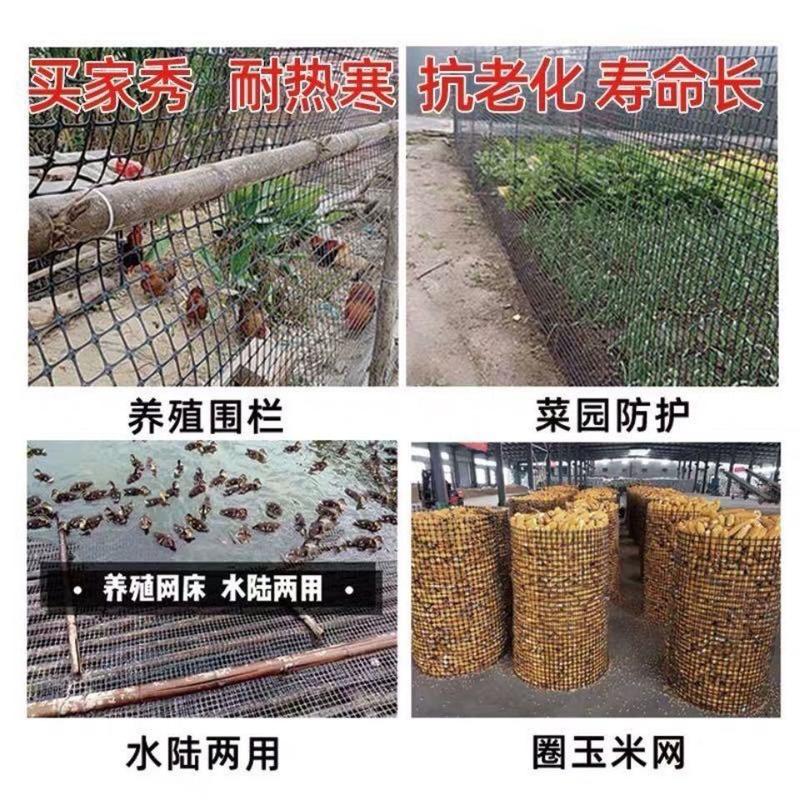 塑料网2.6毫加厚围栏防护网果园农场圈地土工格栅养殖网