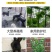 塑料网2.6毫加厚围栏防护网果园农场圈地土工格栅养殖网