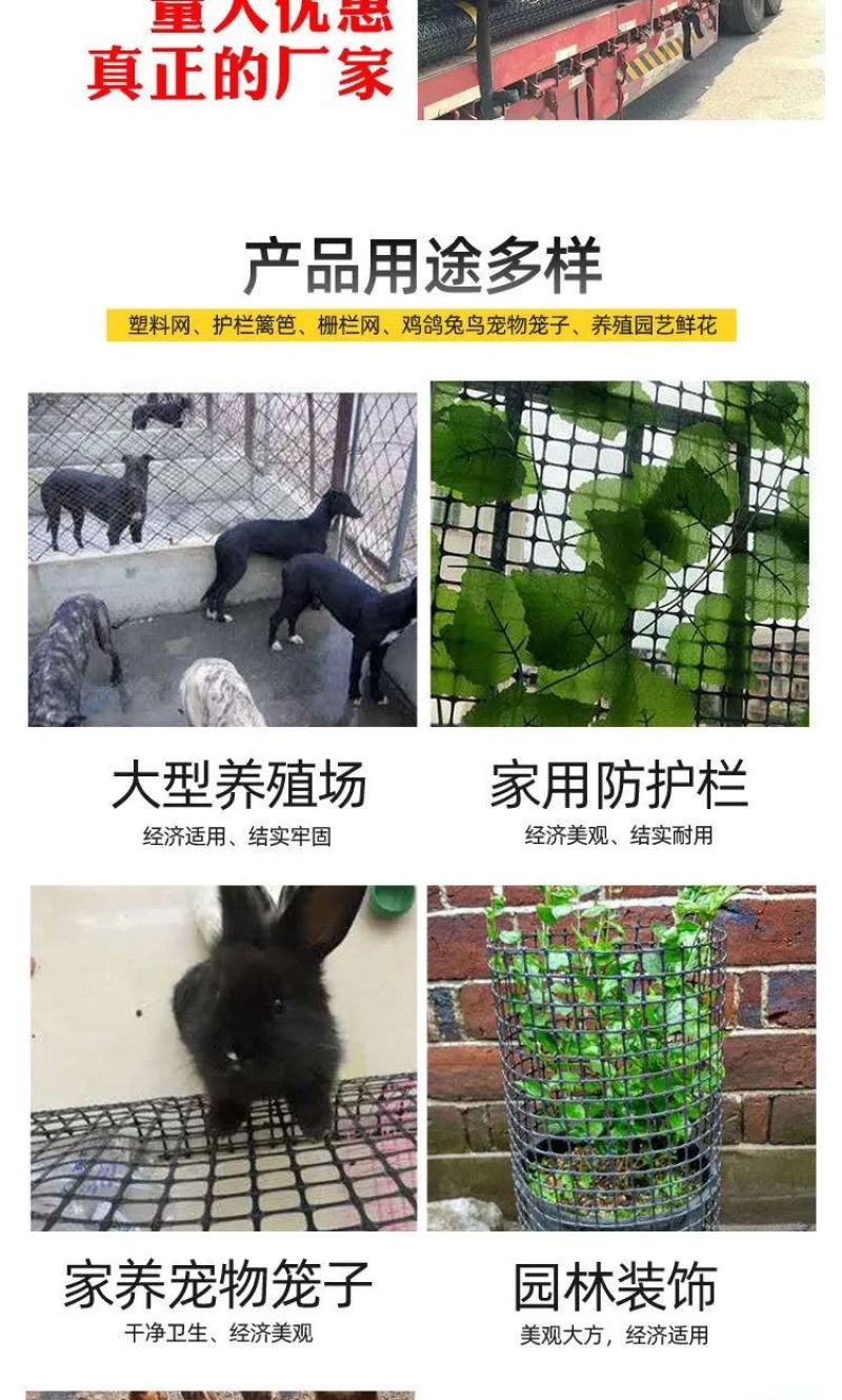 塑料网2.6毫加厚围栏防护网果园农场圈地土工格栅养殖网