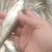 餐条鱼，棍子鱼，船丁，棒棒鱼，马口鱼