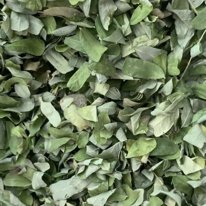 鸡骨草叶子【包邮】三斤起发货可批量可零售量大从优