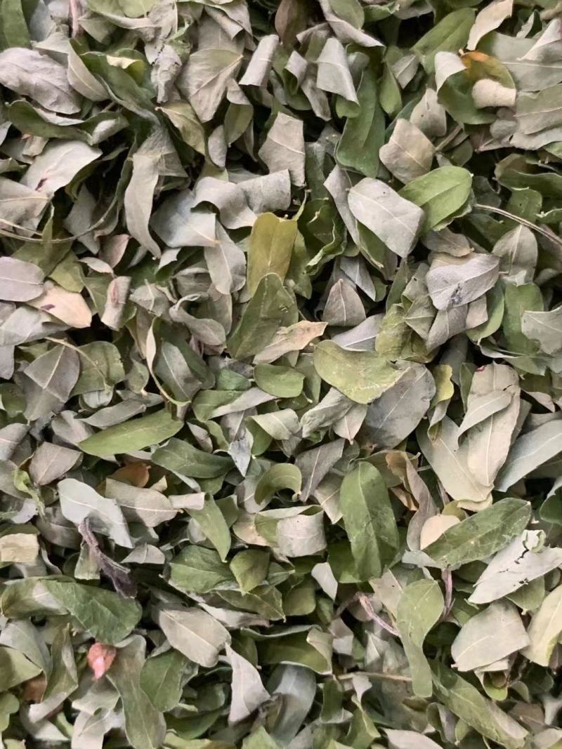 鸡骨草叶子【包邮】三斤起发货可批量可零售量大从优
