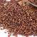 葡萄籽500g新疆干货原粒葡萄子散装可打葡萄籽粉葡萄皮粉