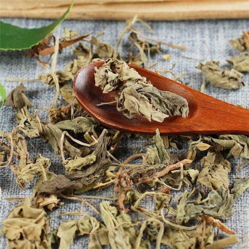 紫花地丁地丁紫花地丁中药材苦地丁草铧头