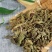 紫花地丁地丁紫花地丁中药材苦地丁草铧头