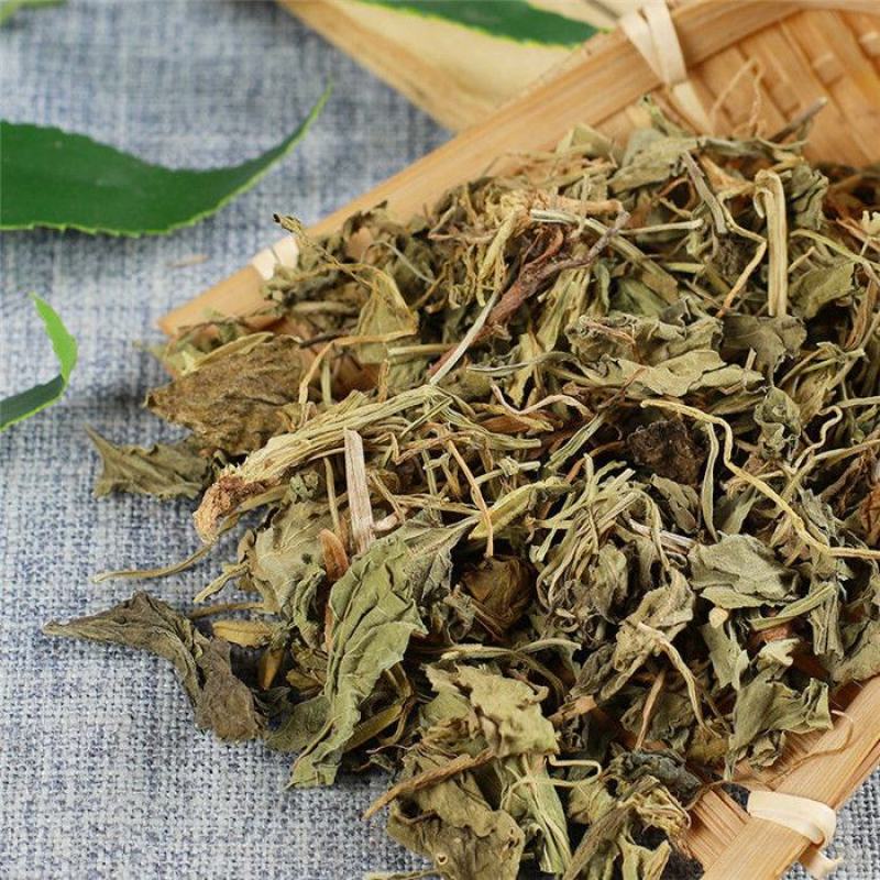 紫花地丁地丁紫花地丁中药材苦地丁草铧头