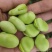 蚕豆