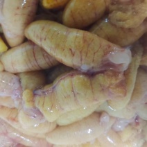 鲈鱼籽