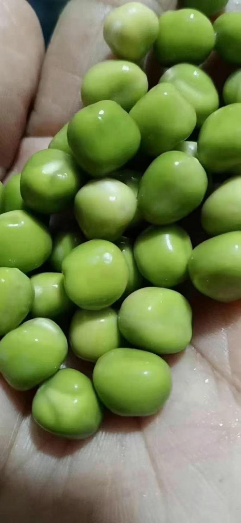 2022年跑江湖地摊展会干豌豆青豌豆10元模式干青豌豆