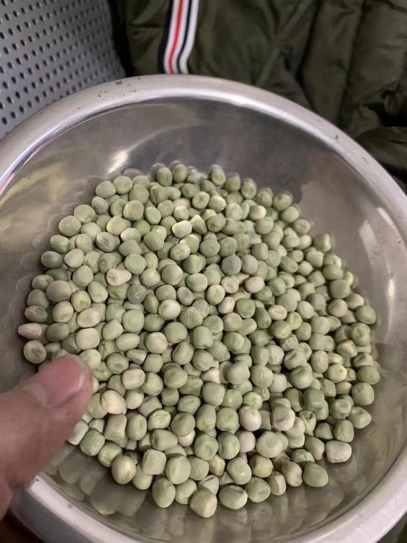 2022年跑江湖地摊展会干豌豆青豌豆10元模式干青豌豆