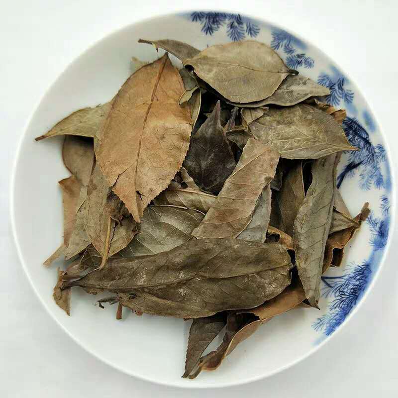 乌饭叶南烛叶中药材南烛叶乌饭叶南烛叶茶南烛叶