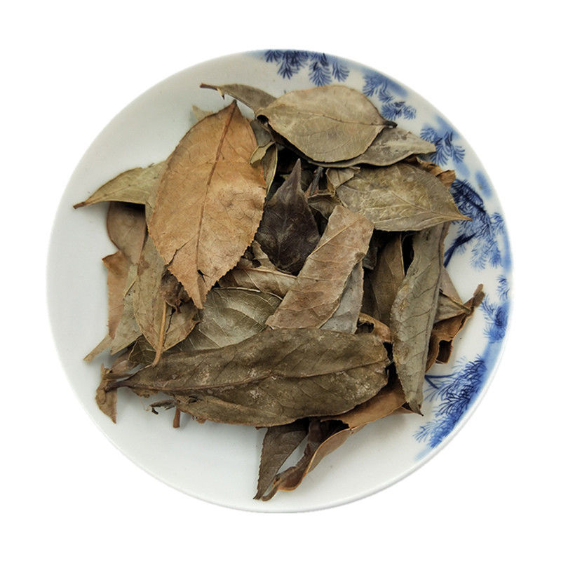 乌饭叶南烛叶中药材南烛叶乌饭叶南烛叶茶南烛叶