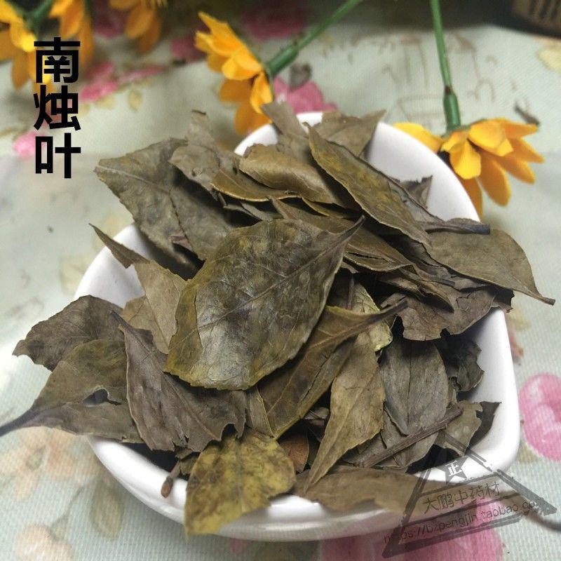 乌饭叶南烛叶中药材南烛叶乌饭叶南烛叶茶南烛叶