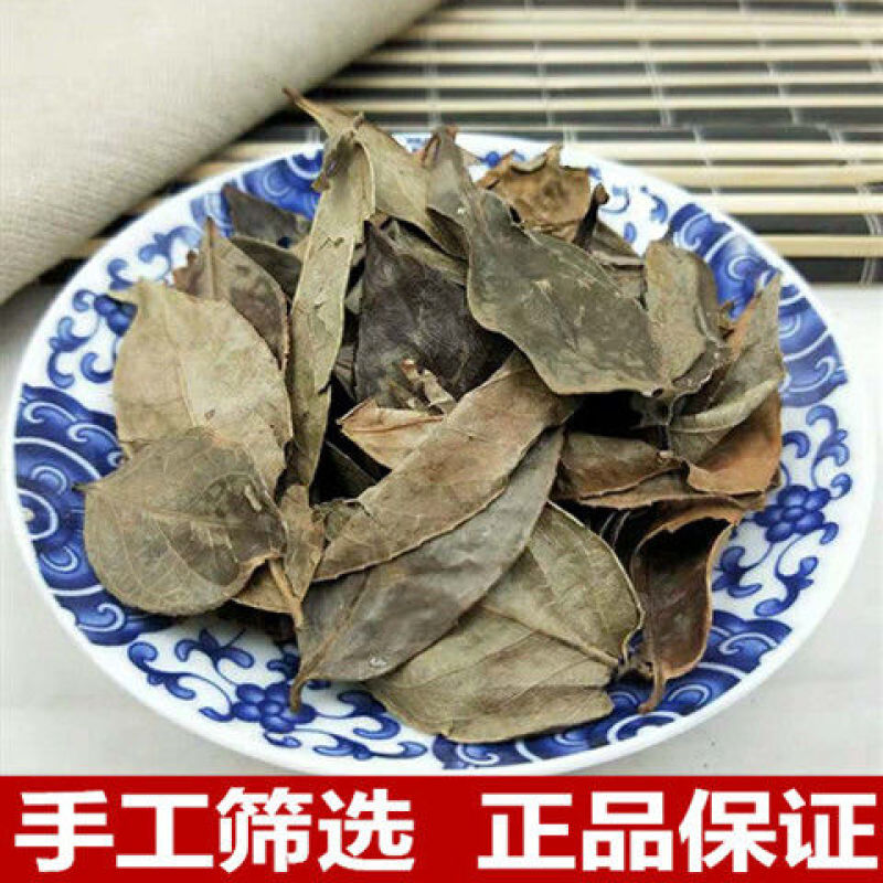 乌饭叶南烛叶中药材南烛叶乌饭叶南烛叶茶南烛叶