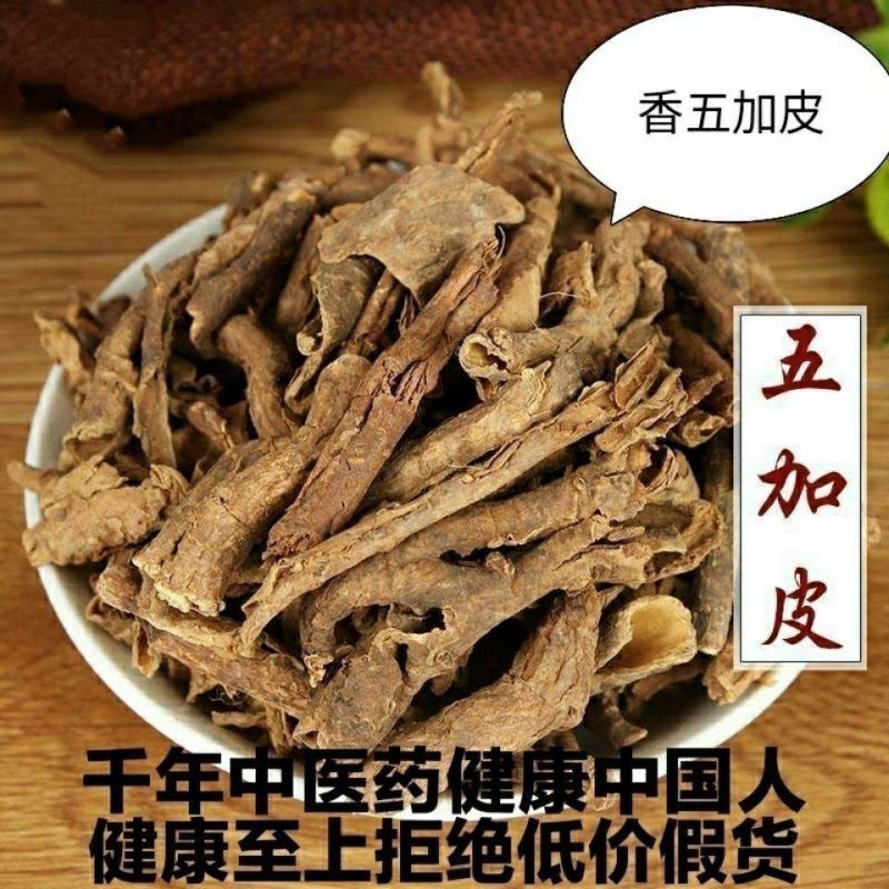 五加皮中药专营品质保证批发零售