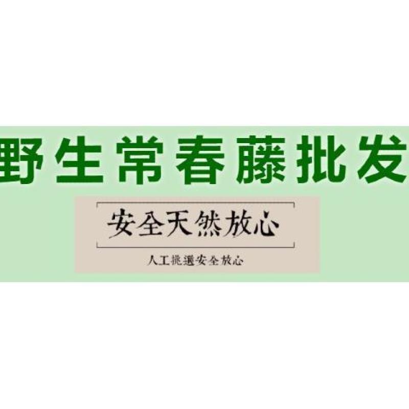 常春藤中药材野生干货