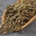 老鹳草老鹤草老鹳草老鹳嘴老贯筋老牛筋