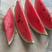 早春红玉现已大量上市，保质保量包熟包甜耐运输全国发