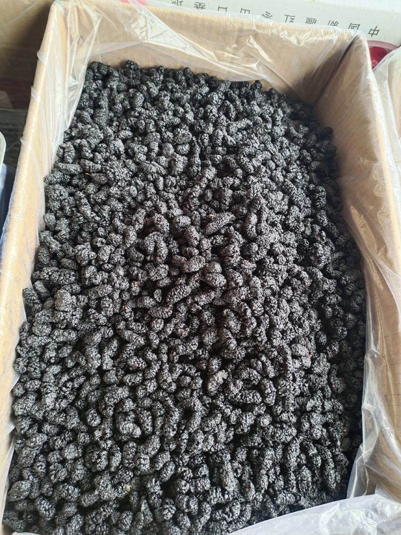 桑葚桑葚干黑桑葚无硫干净水洗规格齐全泡水泡酒