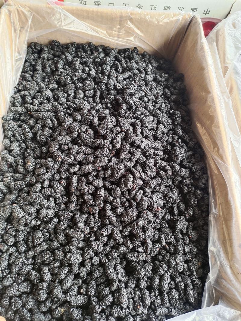 桑葚桑葚干黑桑葚无硫干净水洗规格齐全泡水泡酒