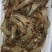 微山湖原生态自然生长河虾，青虾，冰鲜河虾，