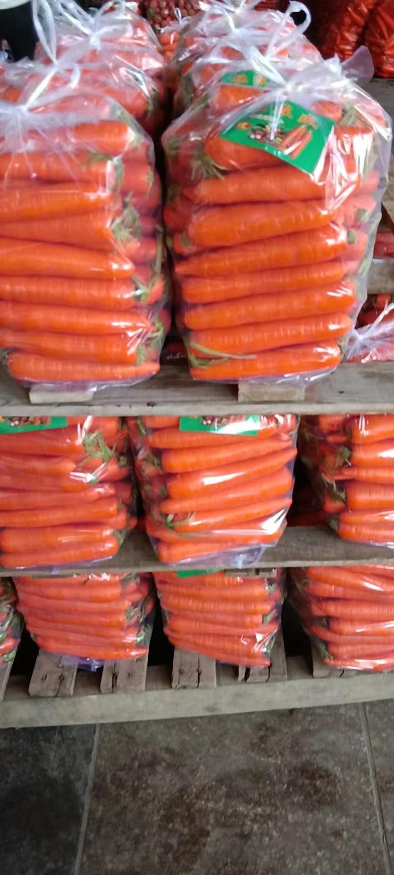 红萝卜，精品三红，一手货源，量大从优，质量保证