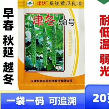 津优35的接近品种津冬58耐寒油亮顺直抗病脆甜的黄瓜种子