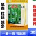 津优35的接近品种津冬58耐寒油亮顺直抗病脆甜的黄瓜种子