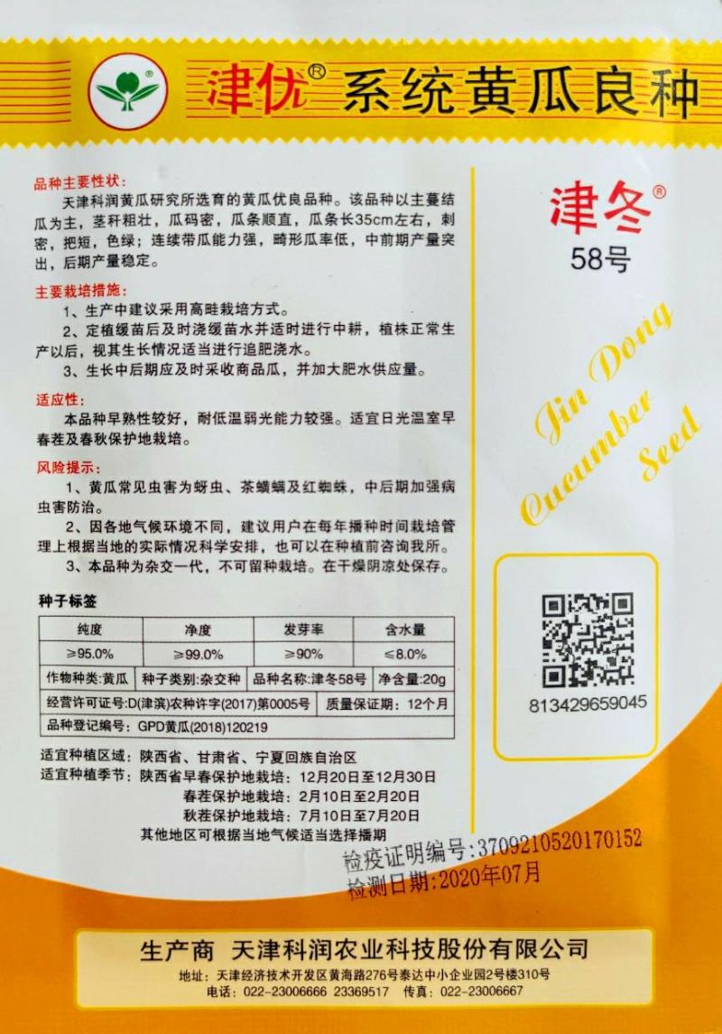 津优35的接近品种津冬58耐寒油亮顺直抗病脆甜的黄瓜种子