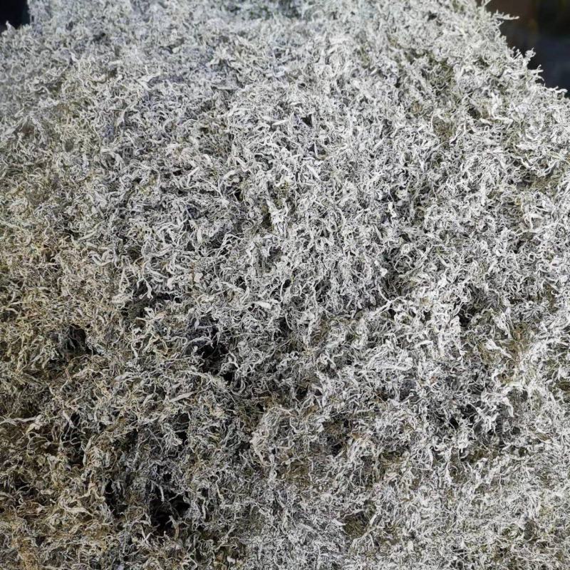湘西永顺莓茶2022年新茶湘西莓茶永顺莓茶