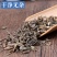 响铃草农吉利中药材响铃草马响铃马铃草