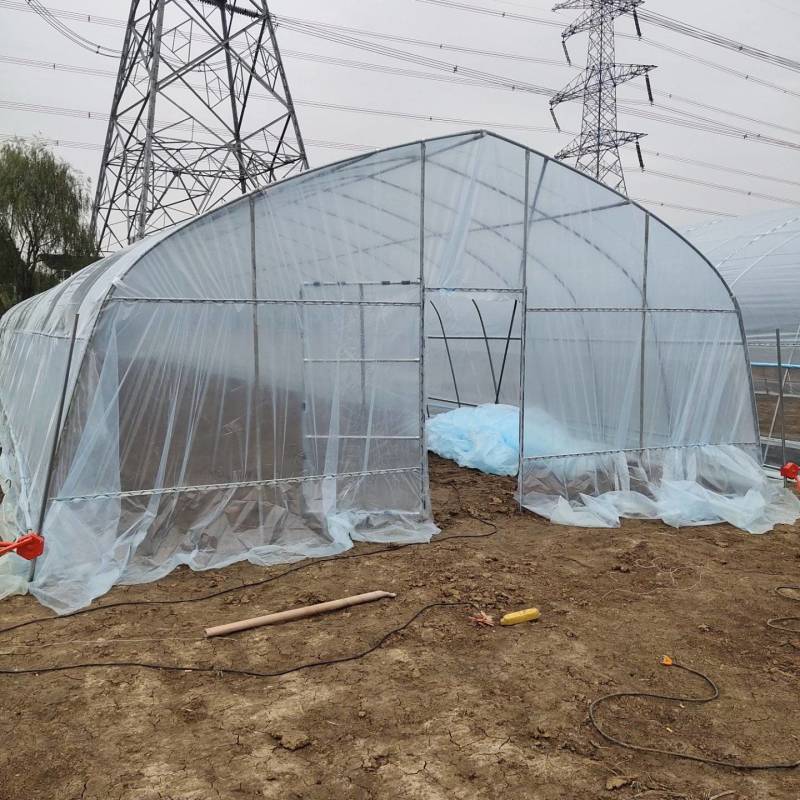 大棚钢管骨架农业养殖种植花卉水果蔬菜单体大棚热镀锌
