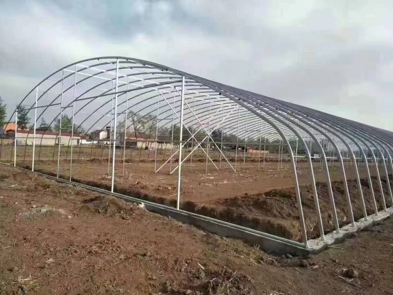 大棚钢管骨架农业养殖种植花卉水果蔬菜单体大棚热镀锌